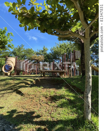 Aozora公園 Aozora公園 81347831