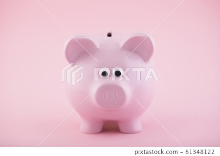 Pink piggy bank on pink background 81348122
