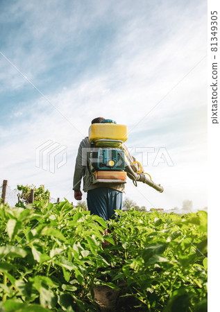 A farmer in an air sprayer cannon sprays a potato plantation. Mist fogger sprayer, fungicide and pesticide. Effective crop protection of cultivated plants from insects and fungal. Chemical treatment 81349305