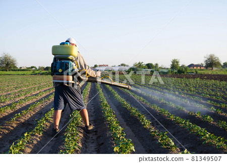 Farmer with a sprayer spray plantation plants. Protection of cultivated plants from insects and fungal infections. Resistance of the crop to pests. Chemical industry in farming agriculture. 81349507