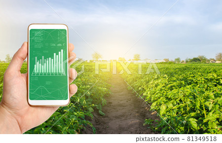 Farmer collects information from farm fields. IoT Internet of things in agriculture, innovative technologies in farming. Analytics and forecast, analysis of sensor readings. Growing organic vegetables Farmer collects information from farm fields. IoT Internet of things in agriculture, innovative technologies in farming. Analytics and forecast, analysis of sensor readings. Growing organic vegetables 81349518