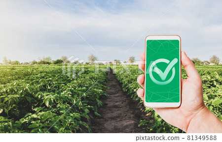 Phone with a quality mark on a farm plantation. Growing organic vegetables. Control permissible doses of harmful chemicals. Certification of agricultural products. High crop quality. Ready to harvest 81349588