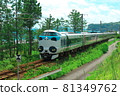 Summer limited express Kuroshio panda formation Parent and child panda 81349762