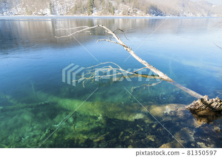 Croatia Winter Plitvice Lakes National Park / Plitvice, Croatia Croatia Winter Plitvice Lakes National Park / Plitvice, Croatia 81350597