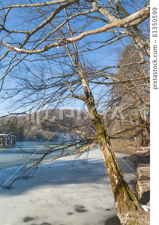 克羅地亞冬季十六湖國家公園 / 克羅地亞十六湖 克羅地亞冬季十六湖國家公園 / 克羅地亞十六湖 81350599