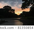 日落 81350854