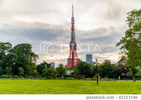 Tokyo Tower evening sky seen from "Minato Ward" Shiba Park 81351546