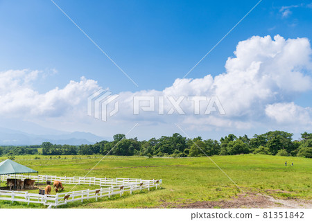 View from the observation deck of "Kiyosato" Seisen-ryo 81351842