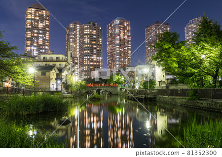 A group of condominiums viewed from Tsukuda Park, a night view of the city 81352300