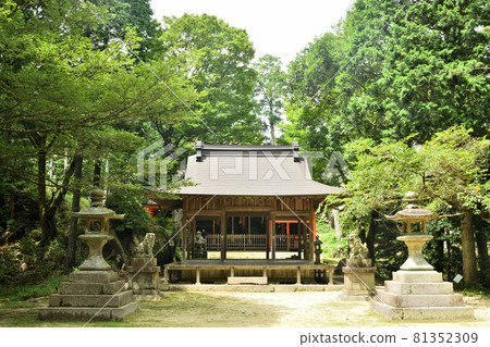 韓東神社區域（haiden）[滋賀縣甲賀市信樂町] 81352309