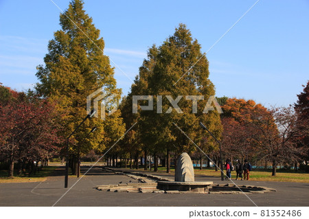 At Toneri Park in Autumn (Adachi-ku, Tokyo) At Toneri Park in Autumn (Adachi-ku, Tokyo) 81352486