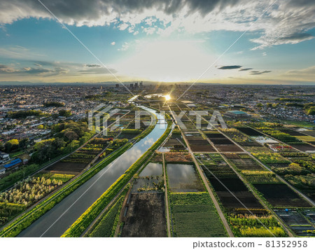 Aerial view "Saitama Prefecture" Minuma rice field Spring scenery 81352958