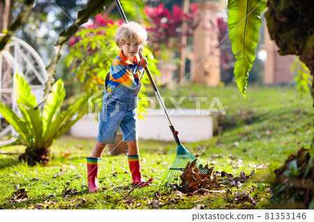Child and rake in autumn garden. Kid raking leaves 81353146