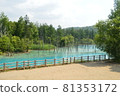 View of the blue pond in Biei, Hokkaido 81353172