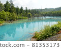 View of the blue pond in Biei, Hokkaido 81353173