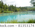 View of the blue pond in Biei, Hokkaido 81353174
