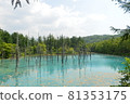 View of the blue pond in Biei, Hokkaido 81353175