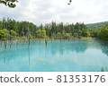 View of the blue pond in Biei, Hokkaido 81353176