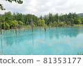View of the blue pond in Biei, Hokkaido 81353177