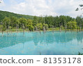 View of the blue pond in Biei, Hokkaido 81353178