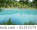 View of the blue pond in Biei, Hokkaido 81353179