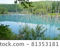 View of the blue pond in Biei, Hokkaido 81353181