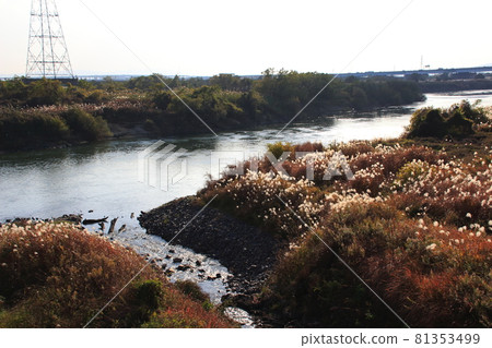 宇治川:三須門匯合處附近 宇治川:三須門匯合處附近 81353499