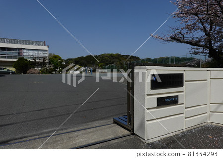 Kamakura Elementary and Junior High School attached to Yokohama National University 81354293