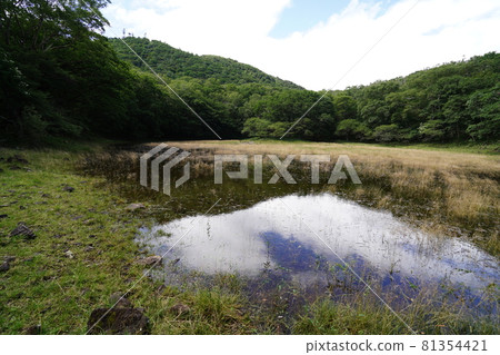 Gunma Prefecture Akagiyama Kanto Fureai Road Blood Pond in the middle of the azalea road from Konuma 81354421