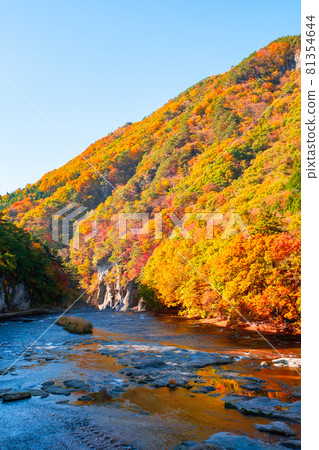 片品溪谷（秋季） 81354644
