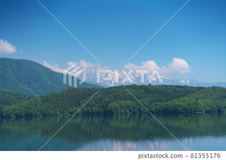 Beautiful pond landscape on a clear day 81355176