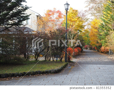 Fall of Karuizawa 81355352