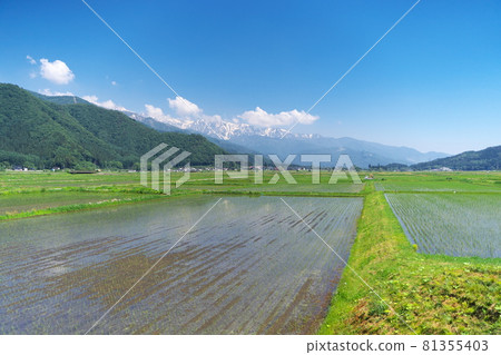 Sunny days and beautiful rural landscape 81355403