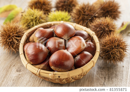 Chestnut 81355871