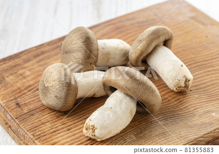 Shimeji mushroom Daikoku shimeji mushroom 81355883