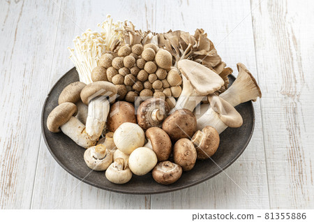 Mushroom assortment of mushrooms 81355886