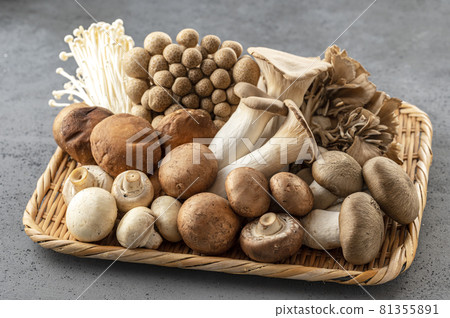 Mushroom assortment of mushrooms 81355891