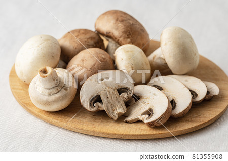 Mushroom Mushroom 81355908