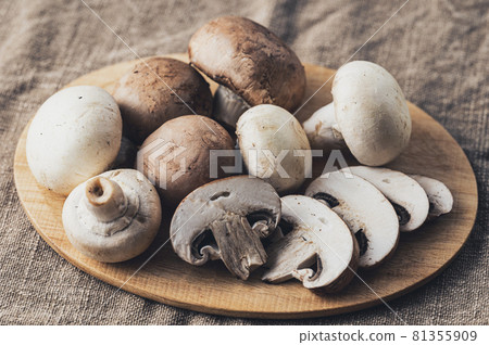 Mushroom Mushroom 81355909