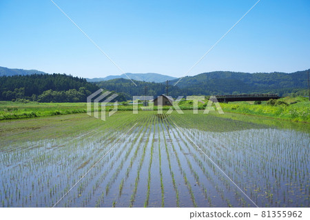 陽光明媚的日子里美麗的鄉村景觀 陽光明媚的日子里美麗的鄉村景觀 81355962