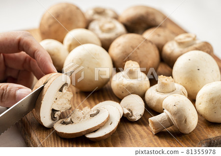 Mushroom Mushroom 81355978