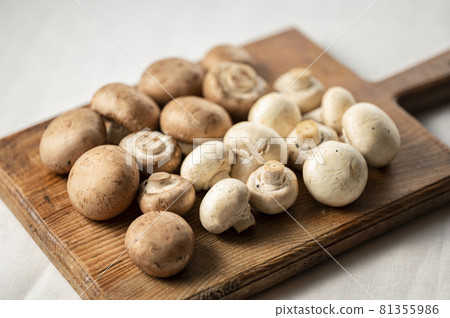 Mushroom Mushroom 81355986