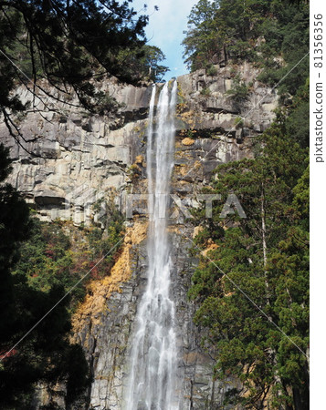 Nachi Falls (Nachikatsuura Town, Higashimuro District, Wakayama Prefecture, Japan) 81356356