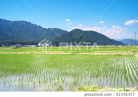 Beautiful rural landscape on a clear day 81356357