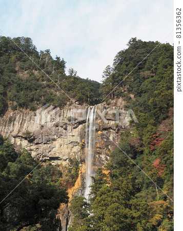 Nachi Falls (Nachikatsuura Town, Higashimuro District, Wakayama Prefecture, Japan) 81356362