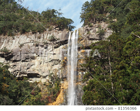 Nachi Falls (Nachikatsuura Town, Higashimuro District, Wakayama Prefecture, Japan) 81356366
