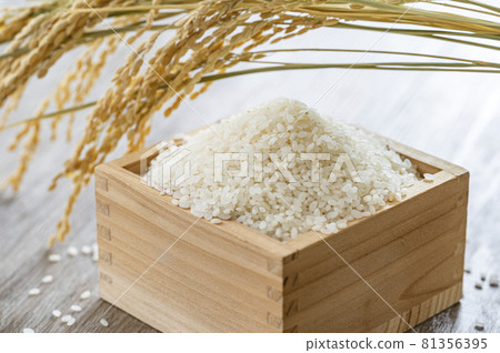 米新米白米 81356395