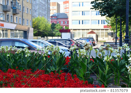 A flower bed and a row of cars in the parking lot. 81357079