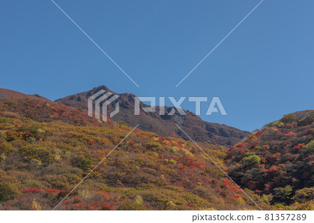 寶月的九重山脈之秋 寶月的九重山脈之秋 81357289