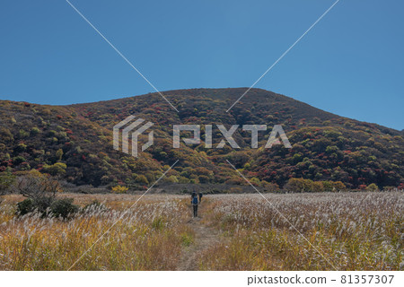 Kuju Mountain Range Autumn of Bogatsuru 81357307